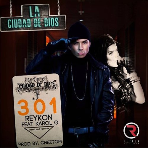 301 cover art