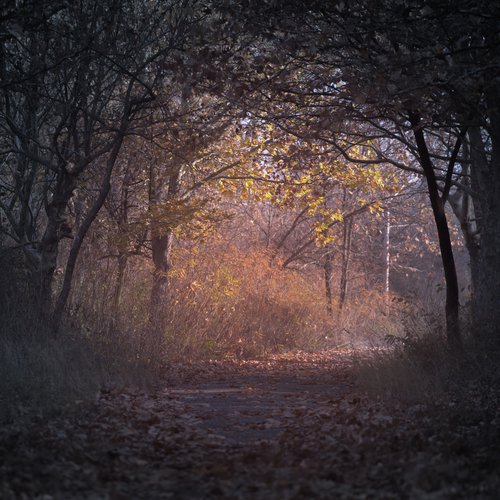 Relajación de Amor cover art