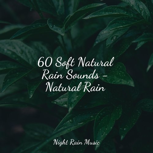 60 Soft Natural Rain Sounds - Natural Rain