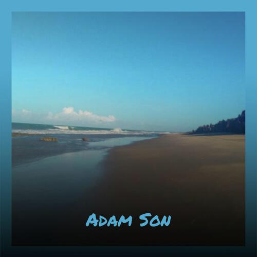 Seam cover art