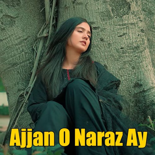 Ajjan O Naraz Ay