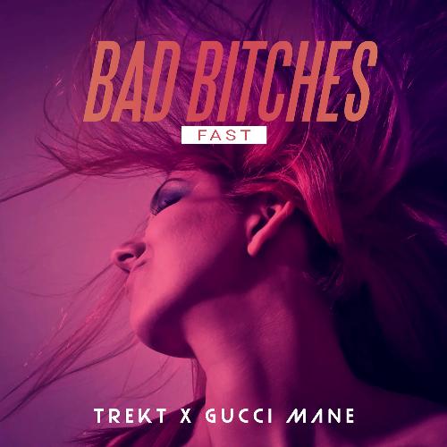 Bad Bitches (feat. Gucci Mane)_poster_image