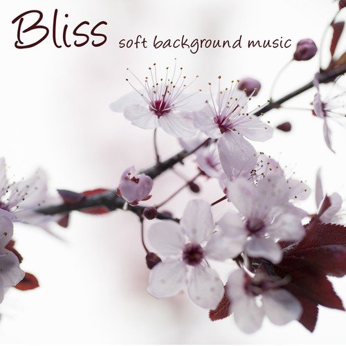 Bliss – Soft Background Music for Reiki, Zen Meditation and Devotion