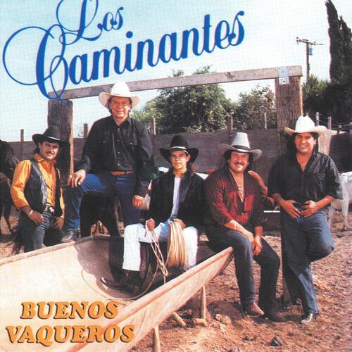 Buenos Vaqueros_poster_image