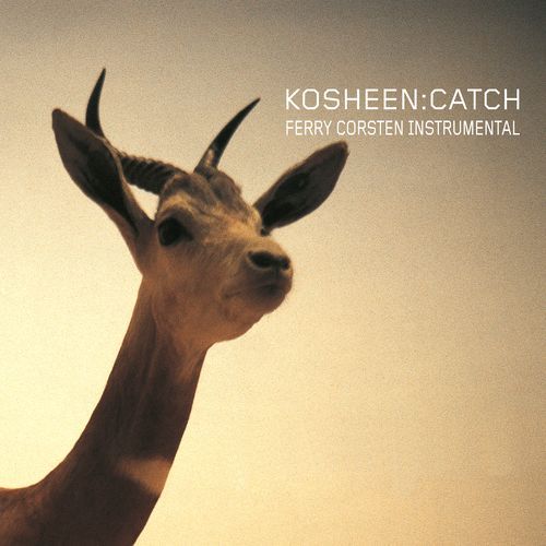 Catch (Ferry Corsten Remix) cover art