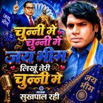 Chunni Mein Chunni Mein Jay Bheem Likhun Teri Chunni Mein artwork