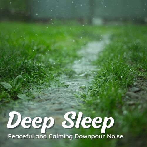 Deep Sleep: Peaceful and Calming Downpour Noise_poster_image