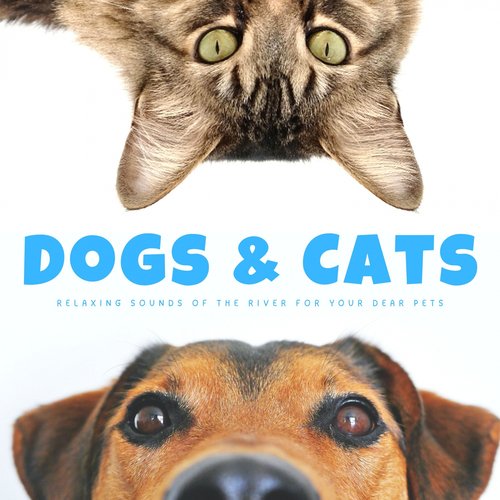 Sleepy Dogs cover art