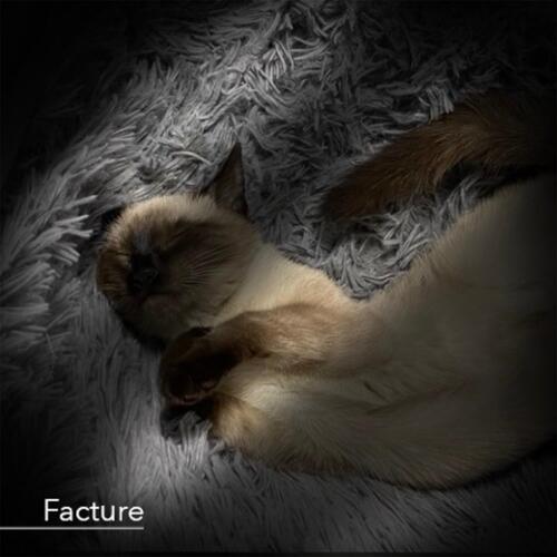 Facture