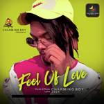 Feel Of Love