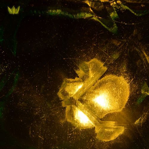 Fragma cover art
