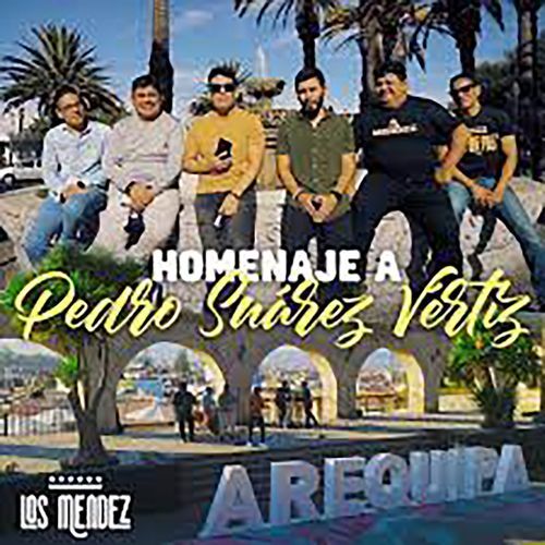 Homenaje a Pedro Suarez Vértiz cover art