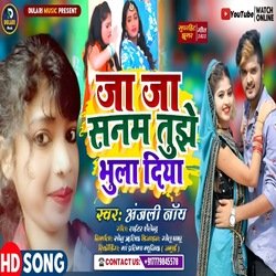 Ja Ja Sanam Tujhe Bhula Diya (Bhojpuri)-SS4aBSdKAVU