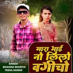 Mara Bhai No Lilo Bagicho, Pt. 3