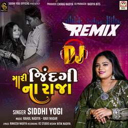 Mari Jindagi Na Raja (DJ Remix)-AT8tfRJ6XmQ