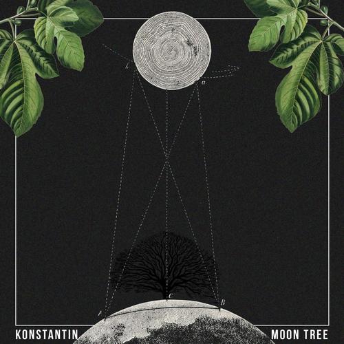 Moon Tree - Random Collective Records_poster_image