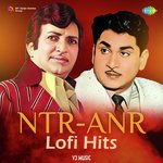 NTR-ANR Lofi Hits
