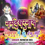 Narmdeshwar Nath Rasidpur Me Ho Rang Lute