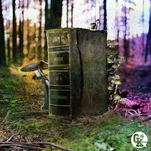 Novels of a Psychonaut