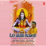Om Vande Shambho Umapathim