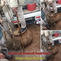 चरो सोना को निकल्यायों निवाई सिदडा