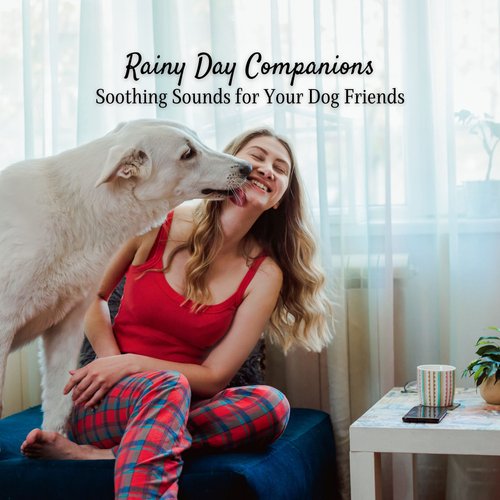 Rainy Day Companions: Soothing Sounds for Your Dog Friends_poster_image