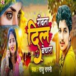 Rowta Dil Bechara (Bhojpuri Sad Song 2023)