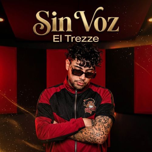 Sin Voz