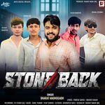 Stone Back artwork
