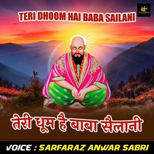 Teri Dhoom Hai Baba Sailani