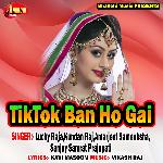 Tiktok Ban Ho Gai
