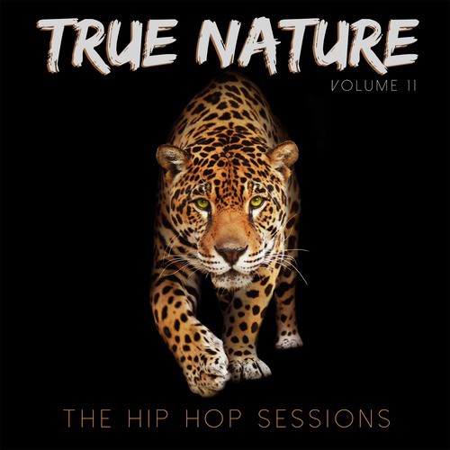 True Nature: The Hip Hop Sessions, Vol. 11