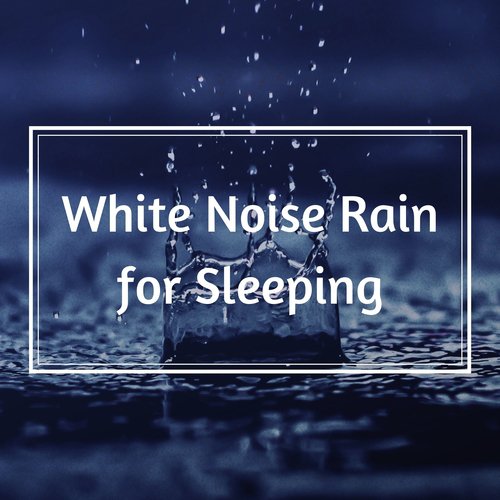 White Noise Rain for Sleeping - Peaceful Rainfall