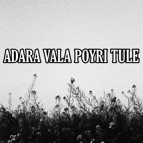 Adara Vala Poyri Tule