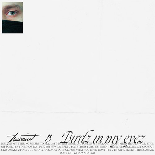 Birdz in My Eyez cover art
