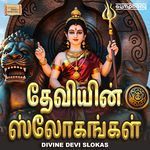 Divine Devi Slokas