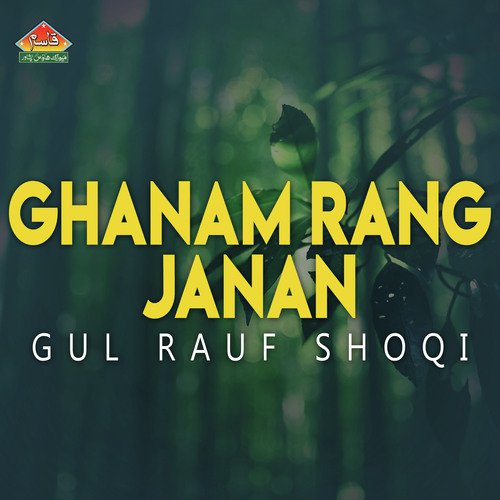 Gul Rauf Shoqi