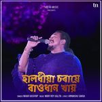 Halodhiya Choraye Baodhan Khai