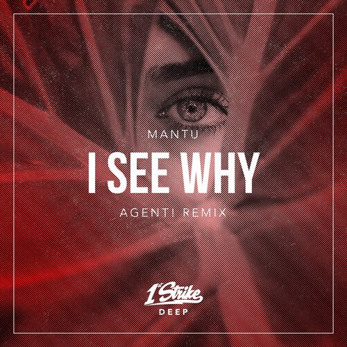 I See Why (AGENT! Remix)