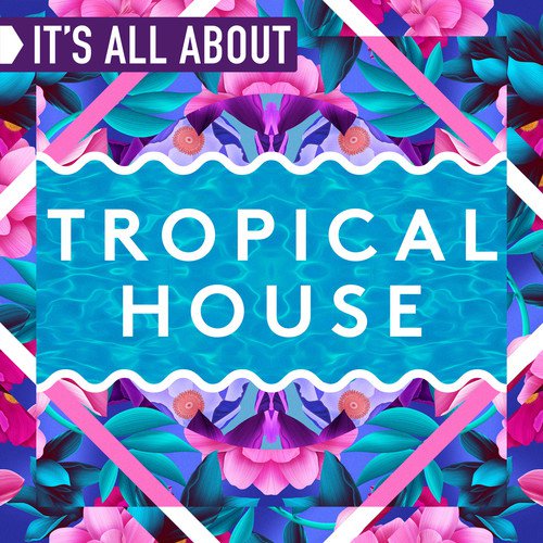 It's All About Tropical House (Continuous DJ Mix)