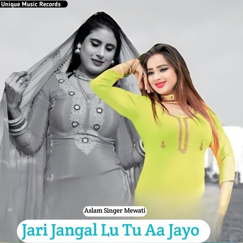 Jari Jangal Lu Tu Aa Jayo