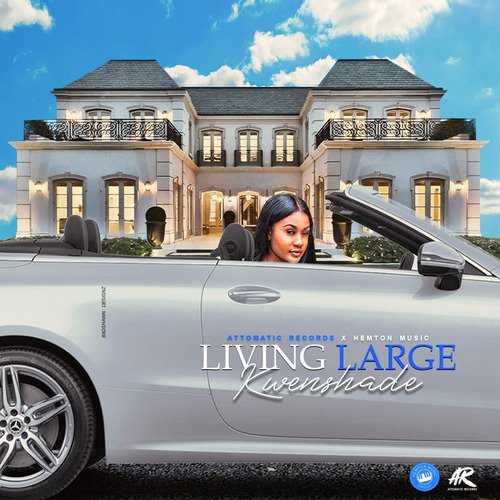 Living Large_poster_image