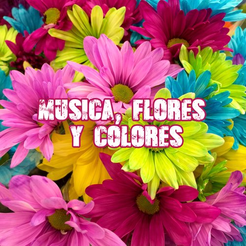 Música, Flores y Colores