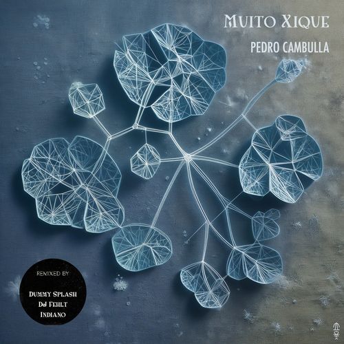 Muito Xique (Dummy Splash Remix) cover art