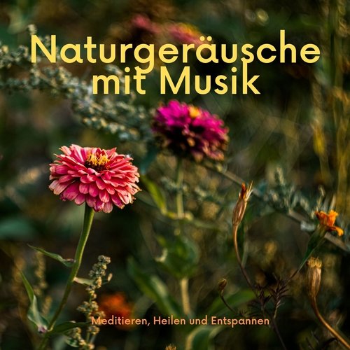 Entspannungsmusik Meer cover art