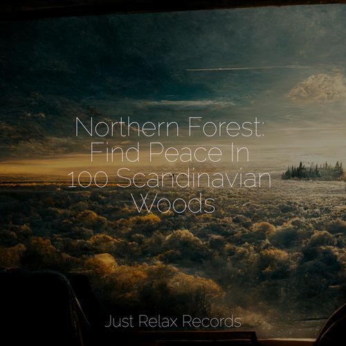 Northern Forest: Find Peace In 100 Scandinavian Woods