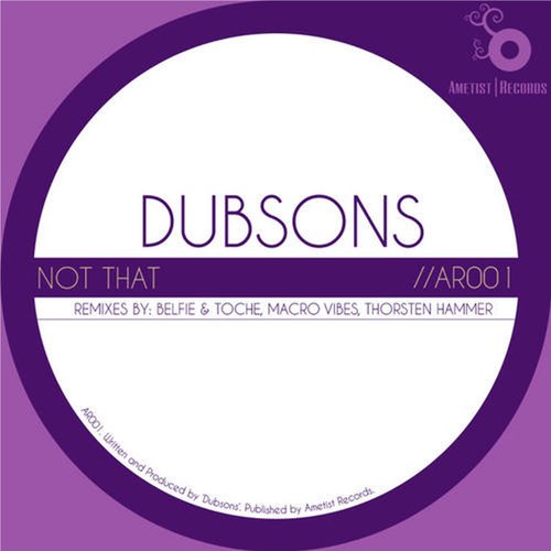 Not That (Thorsten Hammer Remix) cover art