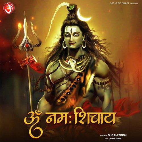 Om Namah Shivaay