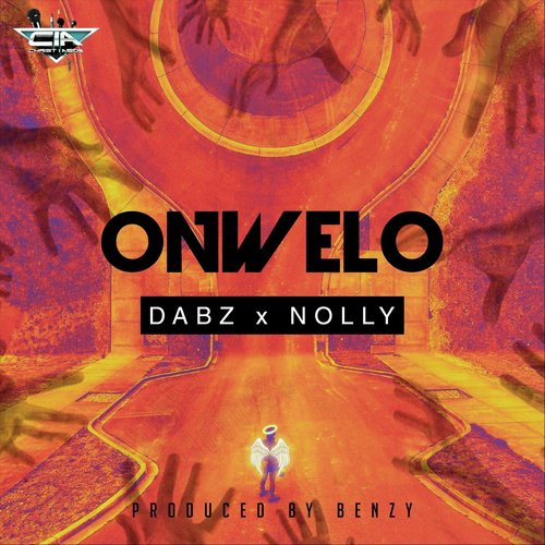 Onwelo (feat. Nolly)_poster_image