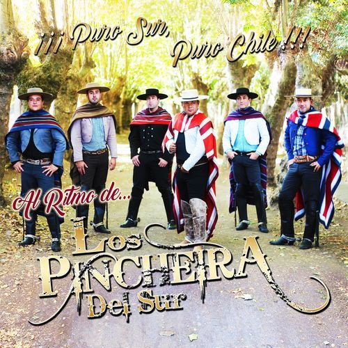 Mix los Charros de Luchito y Rafael cover art